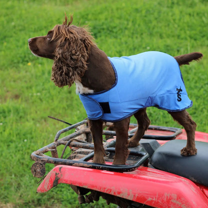 Cooling Dog Coat.