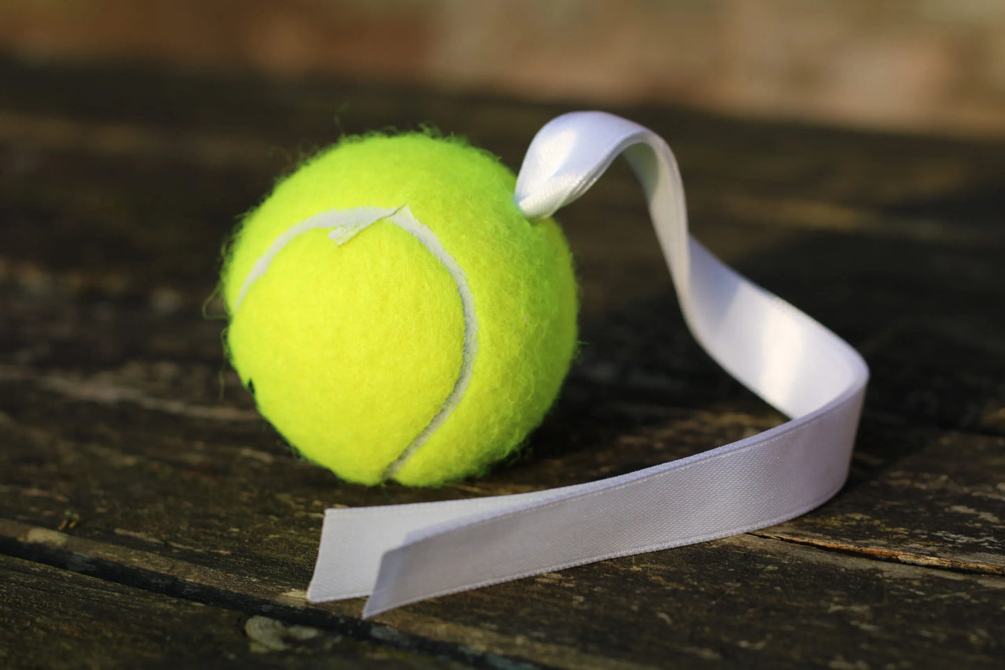 Target Tennis Ball