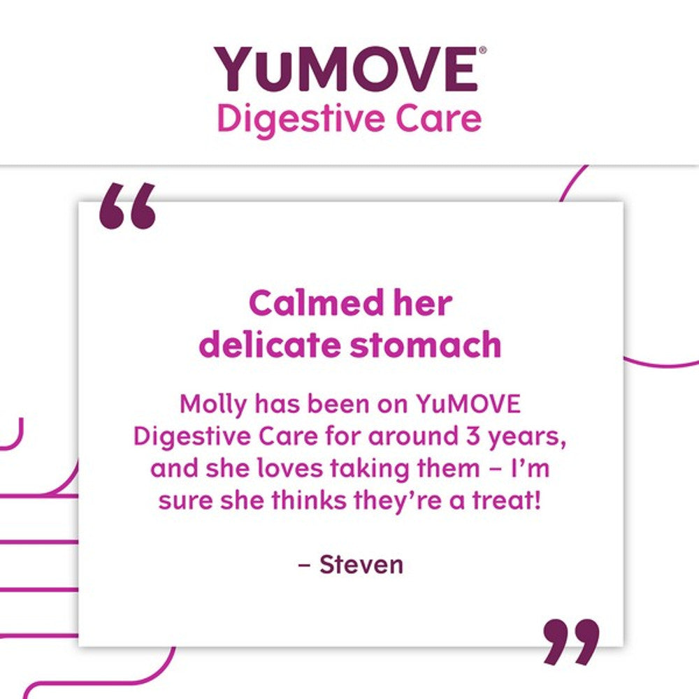 YuMOVE Digestive Care for All Dogs | 120 pack