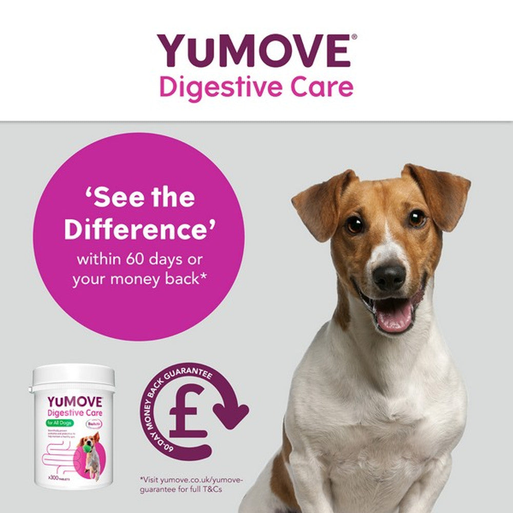 YuMOVE Digestive Care for All Dogs | 120 pack