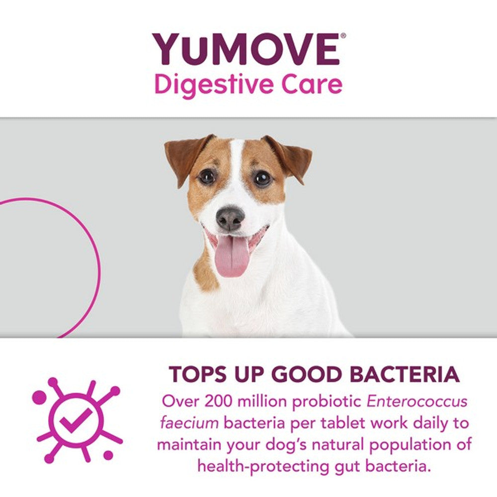 YuMOVE Digestive Care for All Dogs | 120 pack
