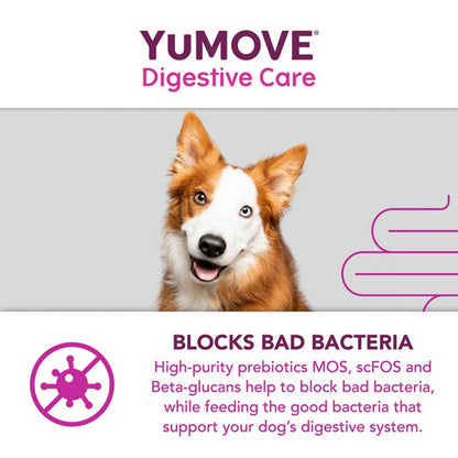 YuMOVE Digestive Care for All Dogs | 120 pack