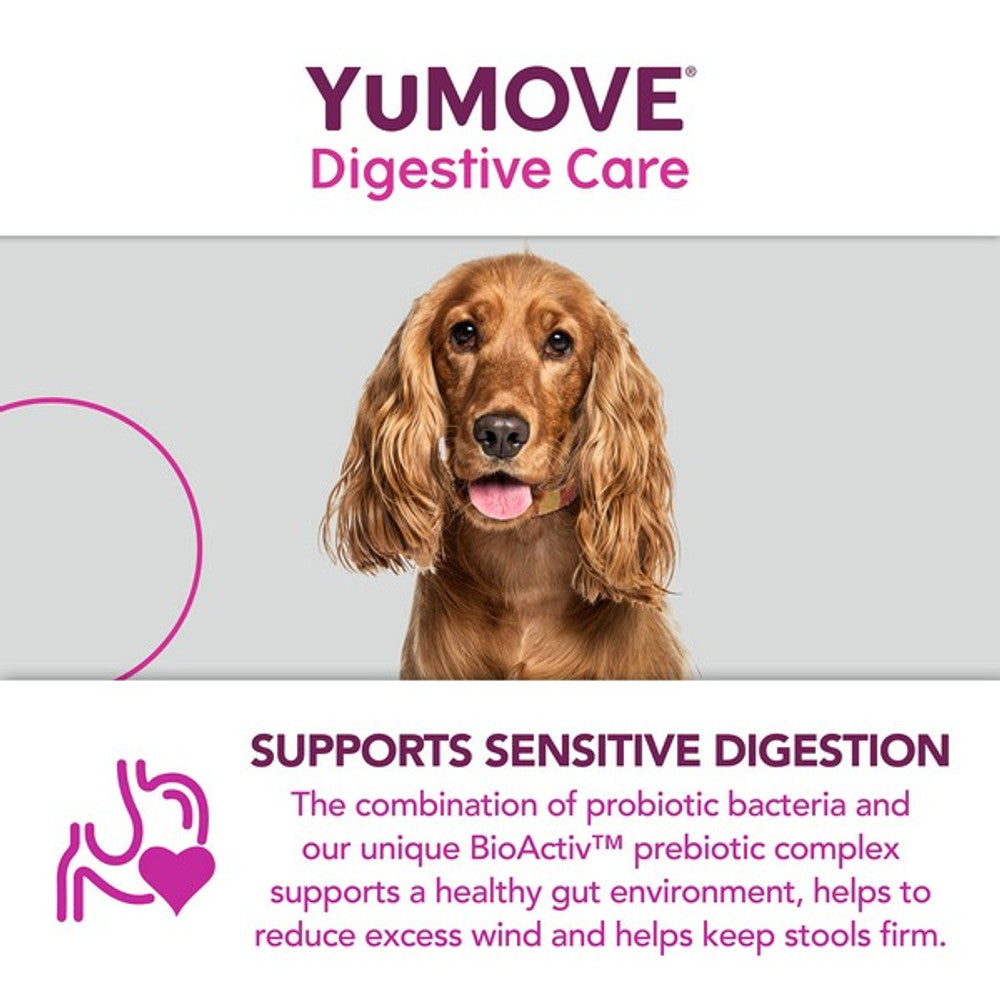 YuMOVE Digestive Care for All Dogs | 120 pack
