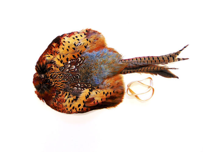 Cock Pheasant Pelt Dummy