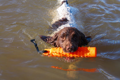 Water Training Dummies