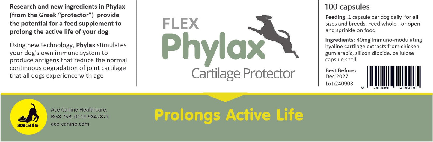 Phylax cartilage protector - 100 capsules - 3 months supply!