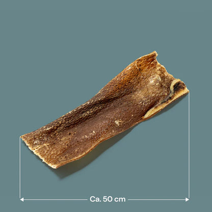 Wild Boar Skins -Primal-Dog Chew-1kg Pack